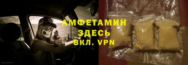 твердый Щигры