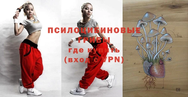 ешки Абаза
