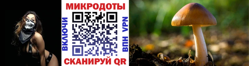 Псилоцибиновые грибы Psilocybine cubensis  kraken вход  Карабаш 